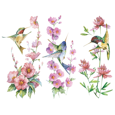 TRANSFER IN A ROW HUMMINGBIRD